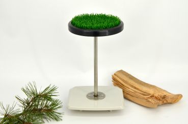 Waagenaufsatz für Falken